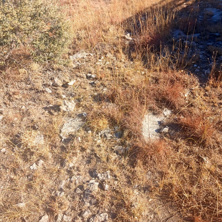 Commercial Property for Sale in Reivilo Northern Cape